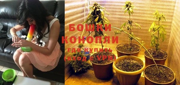 сатива Майский