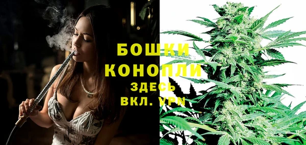 apvp Магас
