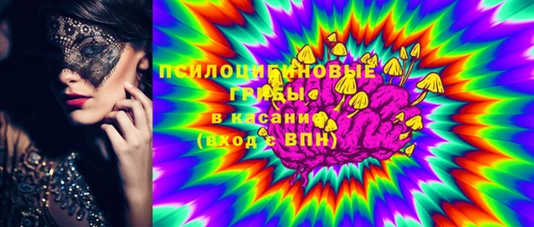 apvp Магас