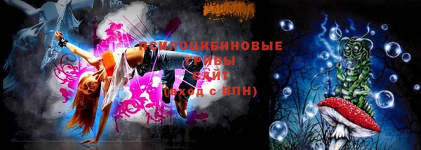 apvp Магас