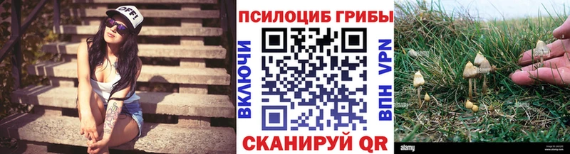 Галлюциногенные грибы мицелий  Урус-Мартан 