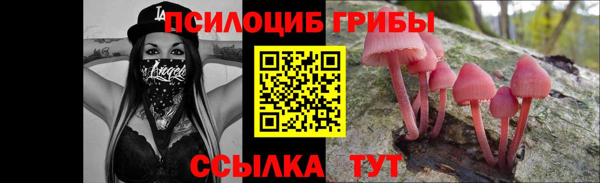 Урус-Мартан  Галлюциногенные грибы мухоморы  Вход с VPN  наркошоп  Галлюциногенные грибы мухоморы 