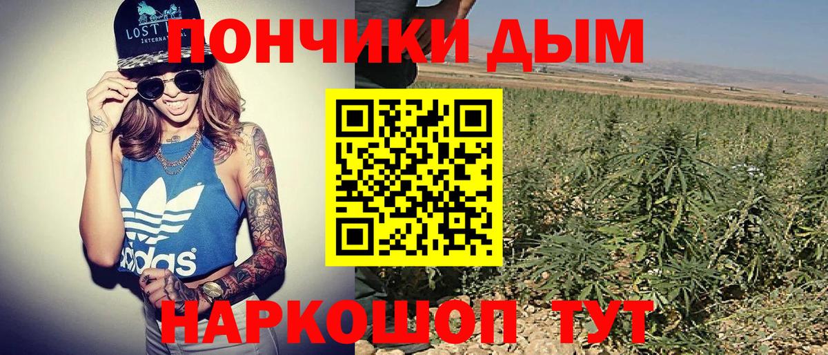 Псилоцибиновые грибы Урус-Мартан